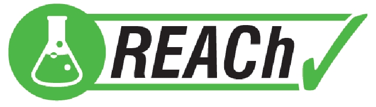 reach logo